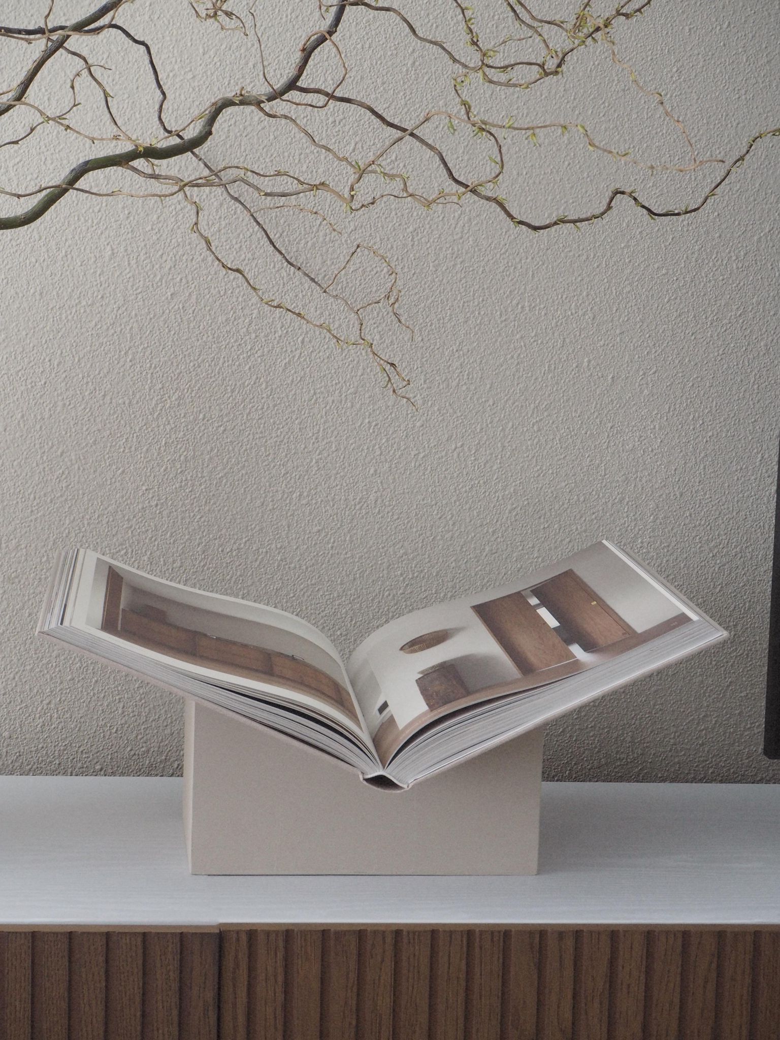 WhatsApp Image 2024-12-05 at 23.30.23