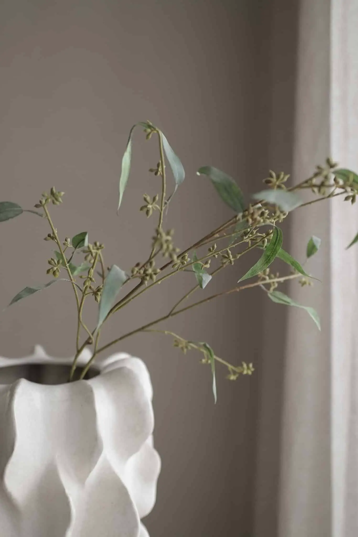 Eucalyptus Seeds Spray 97cm