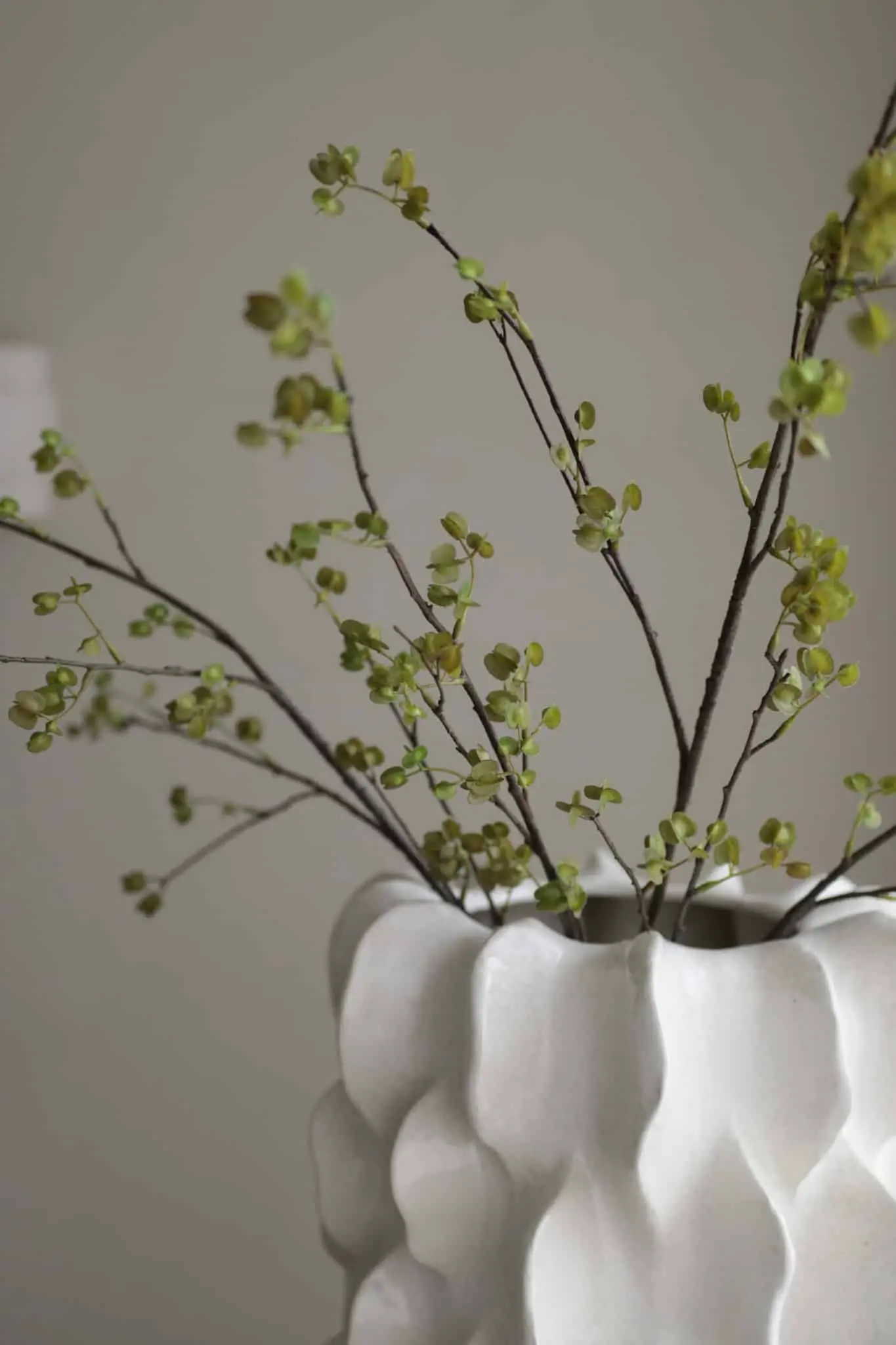 Elm Seed Spray 132cm